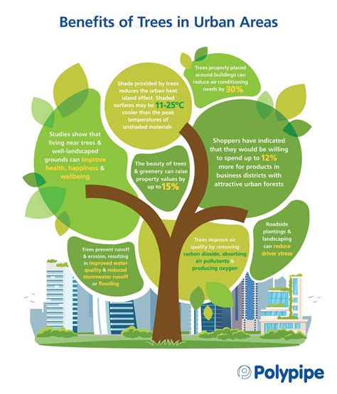 some of the advantages of planting trees in cities are that they|How Urban Trees Can Save Lives .